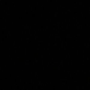 Meet your Posher, Loren